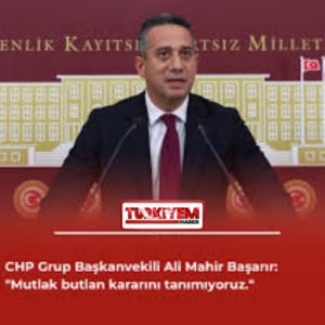 Pembe zarif bujiteri aksesuar logo tasarımı (17)