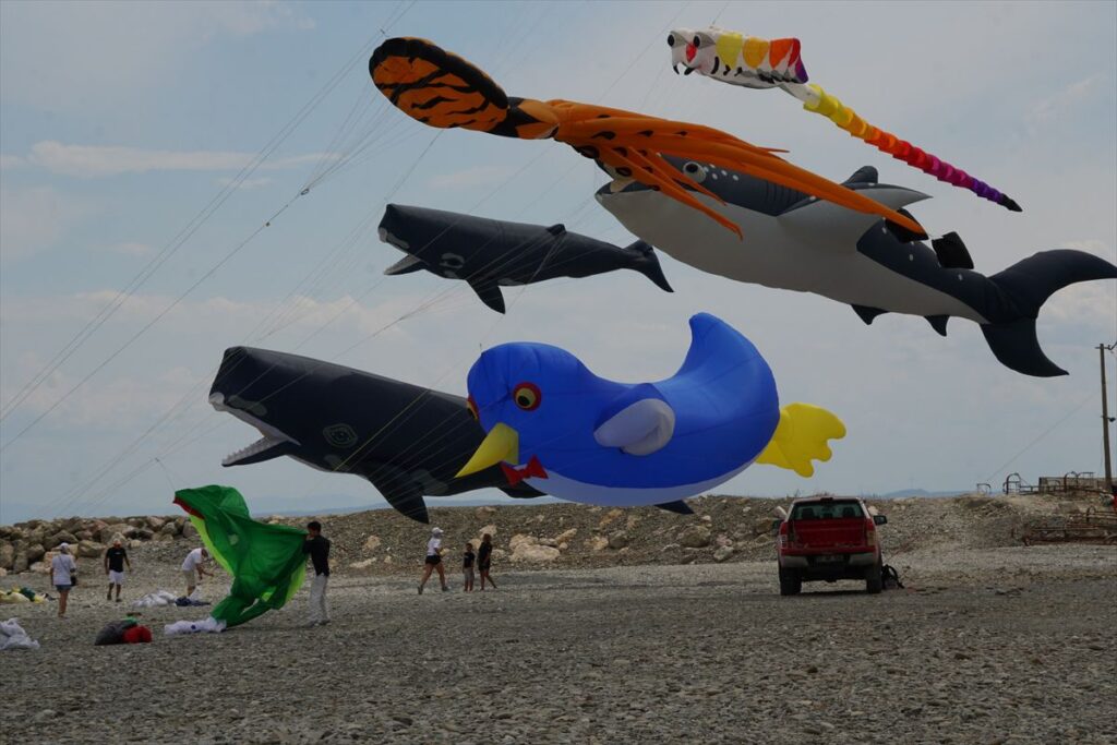 tekirdag-da-4-trakya-ucurtma-festivali-baslad-5-20087418_amp