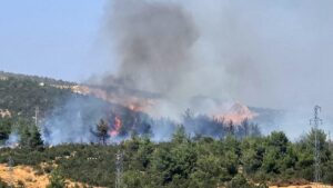 bilecik-te-ormanlik-alanda-yangin-basladi-2-20167314_amp (1)